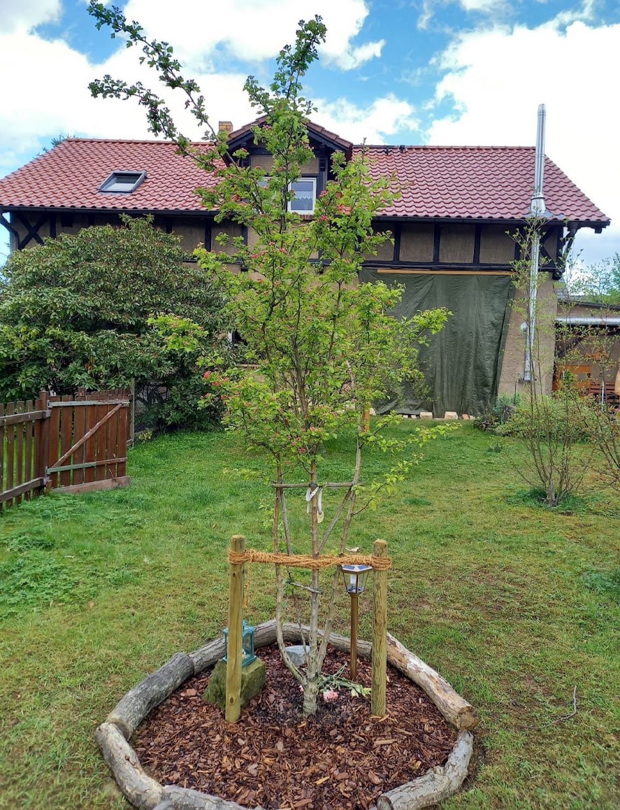 Baumbestattung im eigenen Garten