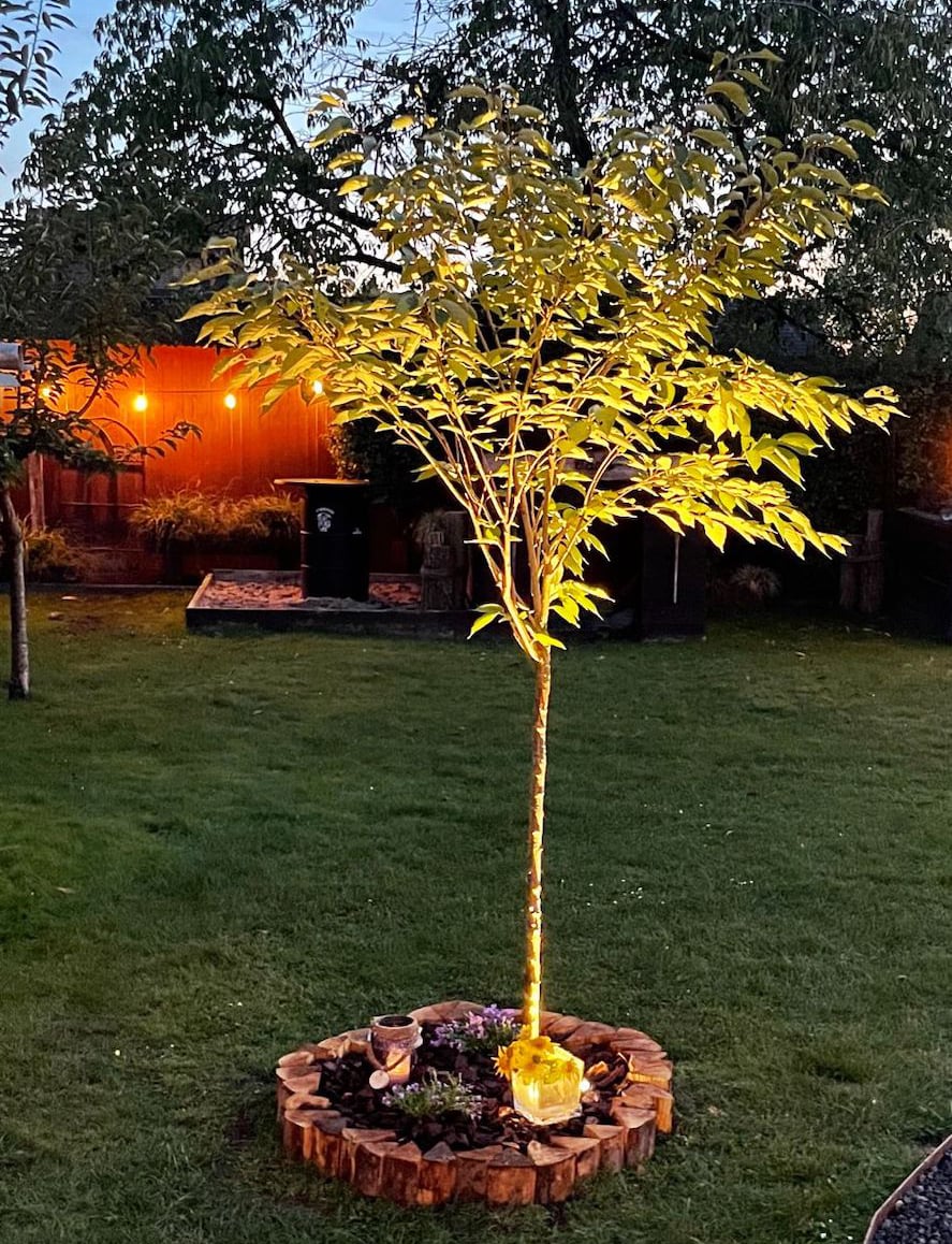 Baumbestattung im eigenen Garten